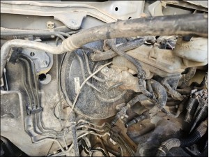 isuzu dmax vestanoz